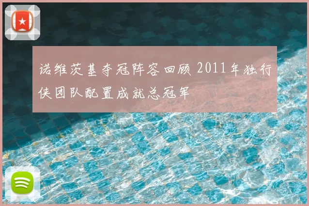 诺维茨基夺冠阵容回顾 2011年独行侠团队配置成就总冠军