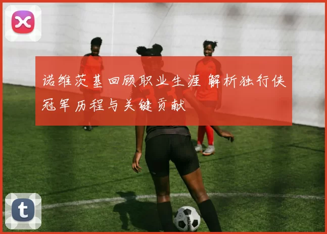 诺维茨基回顾职业生涯 解析独行侠冠军历程与关键贡献