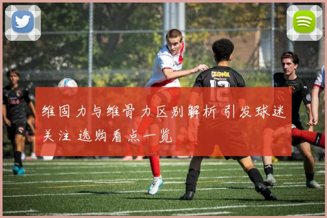 维固力与维骨力区别解析 引发球迷关注 选购看点一览
