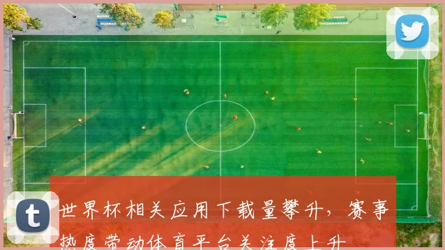世界杯相关应用下载量攀升,赛事热度带动体育平台关注度上升